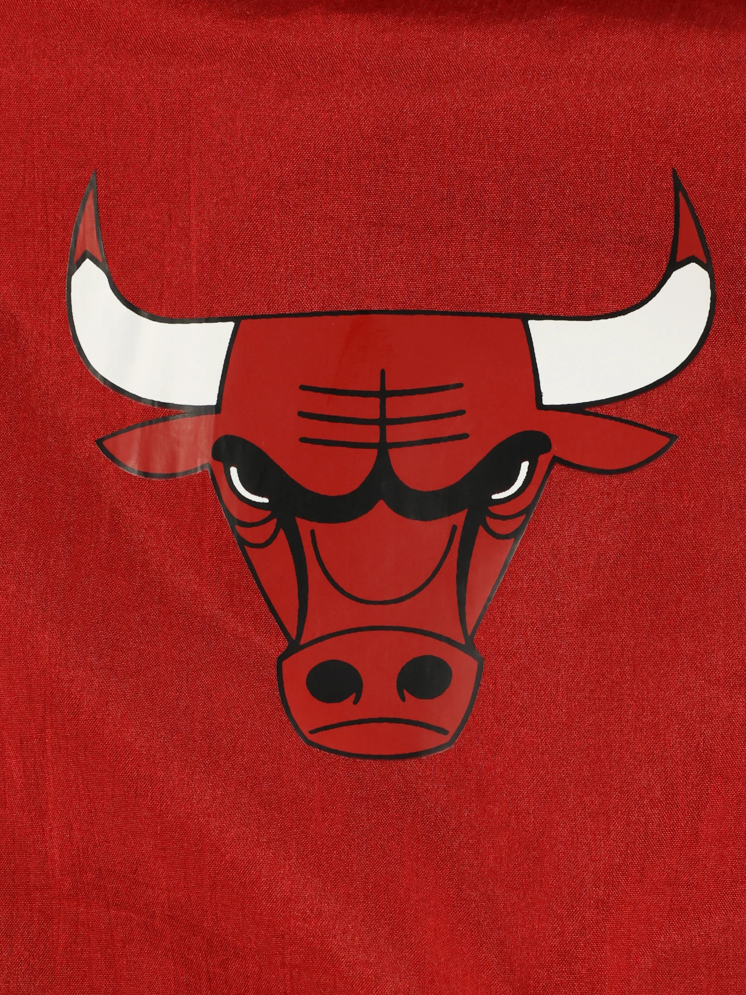 Mitchell&Ness（ミッチェルアンドネス）｜ブルズ アンディナイアブル 